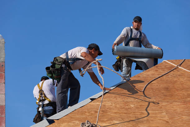 Best Metal Roofing Contractor  in Anacortes, WA